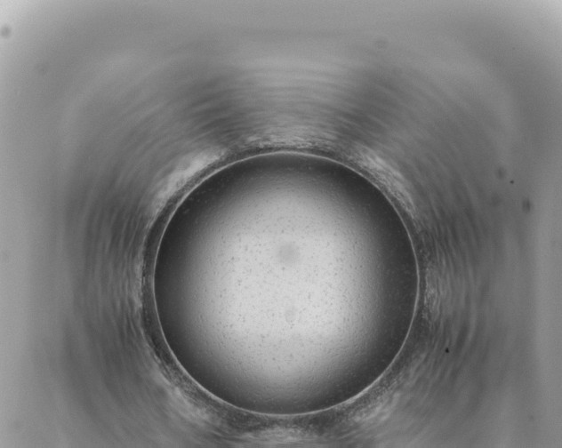 X0000088600578200706011205