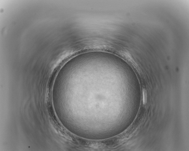 X0000088600579200706011205