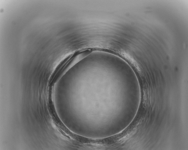 X0000088600580200706011205