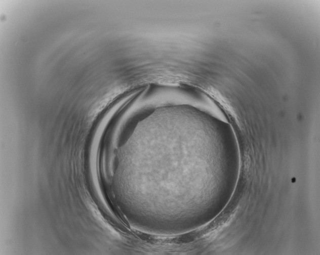 X0000088600581200706011205