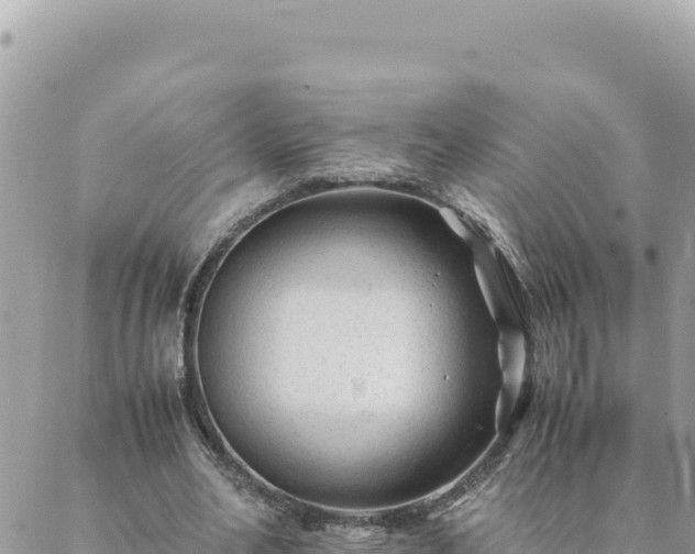 X0000088600582200706011205