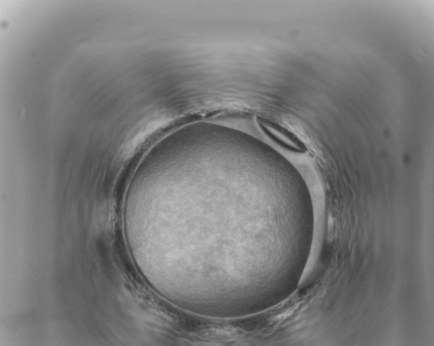 X0000088600583200706011205