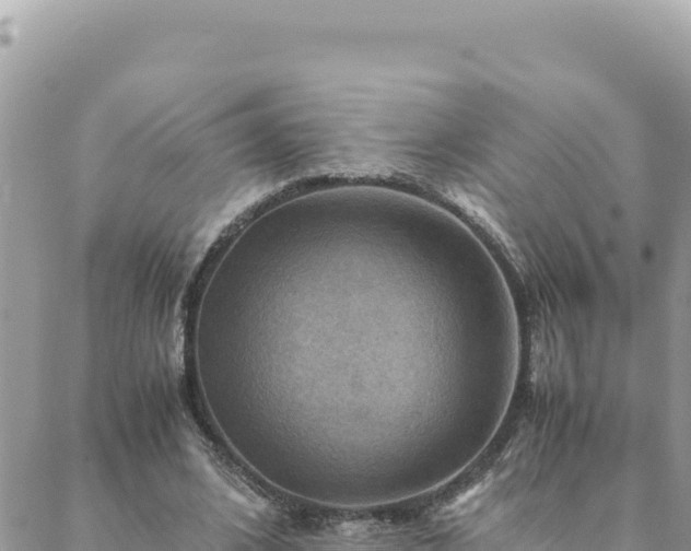 X0000088600584200706011205