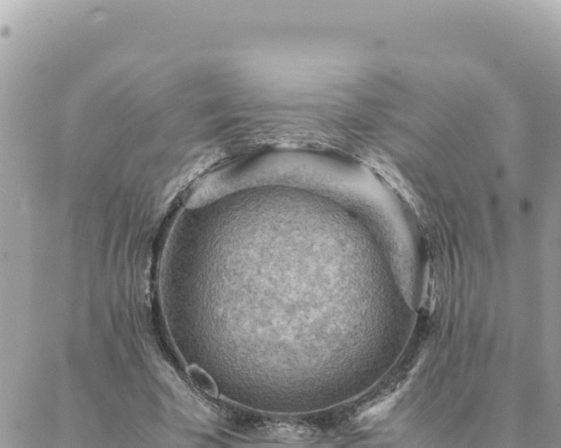 X0000088600585200706011205