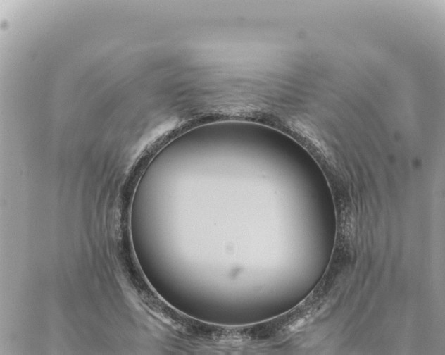 X0000088600587200706011205