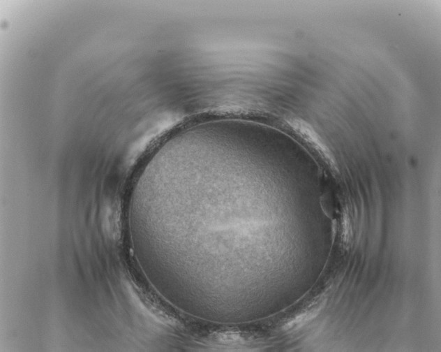 X0000088600588200706011205