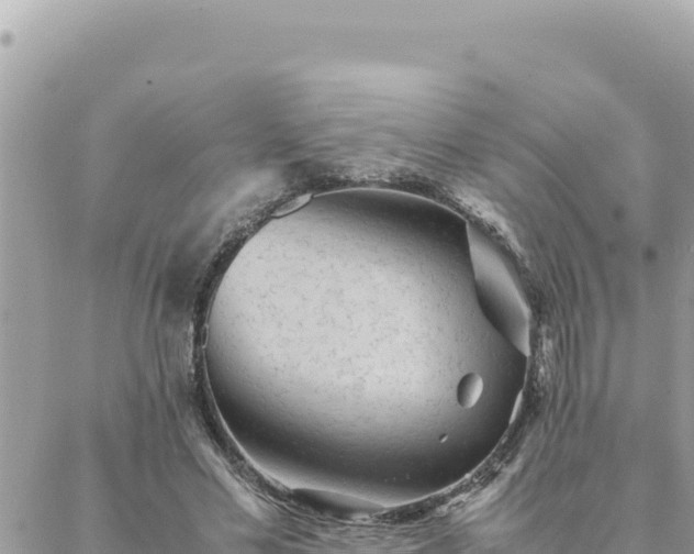 X0000088600589200706011205