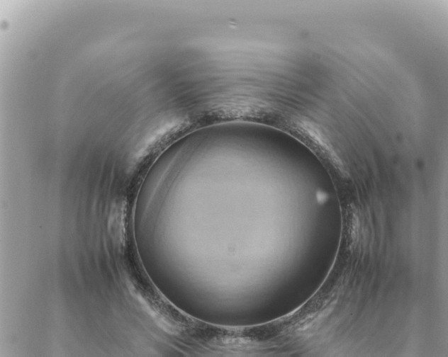 X0000088600590200706011205