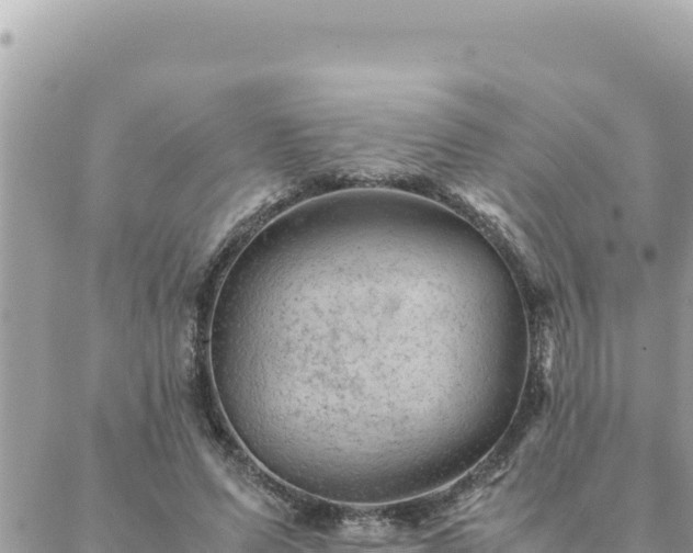 X0000088600591200706011205