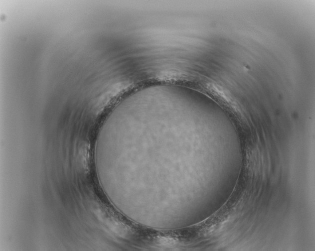 X0000088600592200706011204