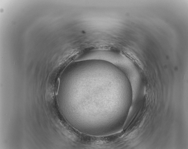 X0000088600593200706011204