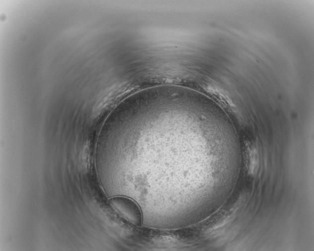 X0000088600594200706011204