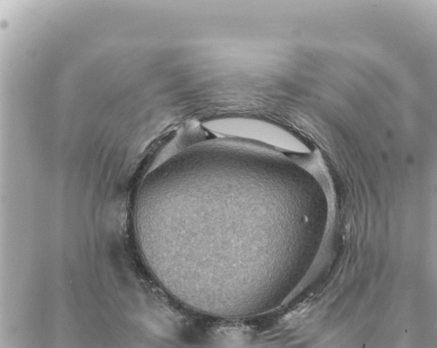 X0000088600595200706011204