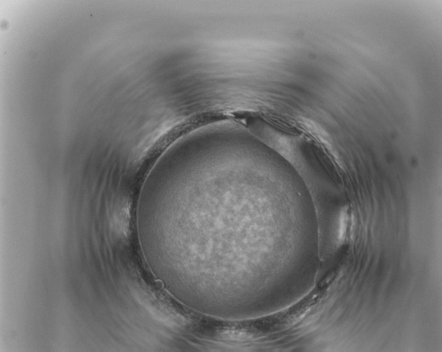 X0000088600596200706011204