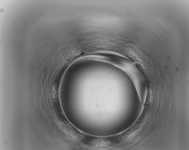 X0000088600597200706011204