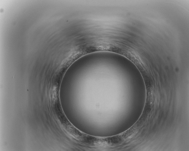 X0000088600598200706011204