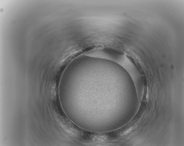 X0000088600599200706011204