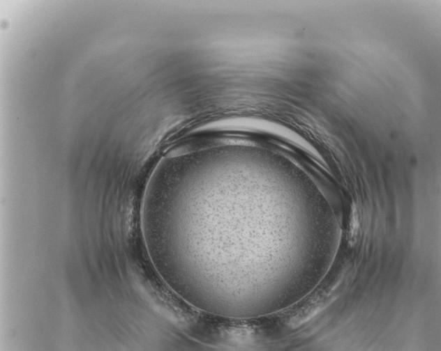 X0000088600600200706011204