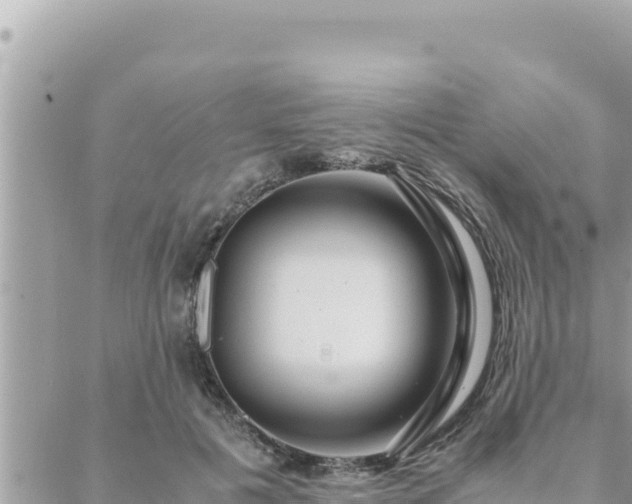 X0000088600601200706011204