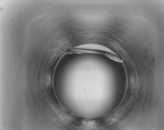 X0000088600602200706011204