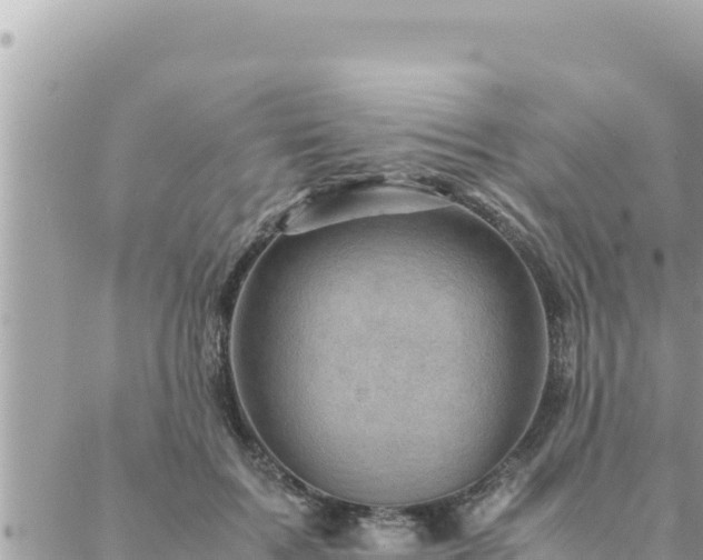 X0000088600603200706011204