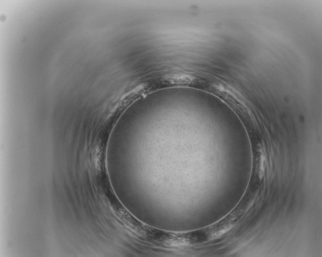 X0000088600604200706011204