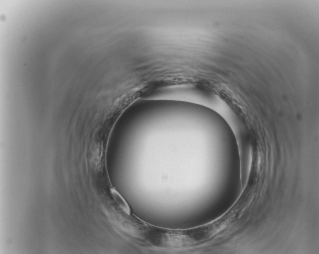 X0000088600605200706011204