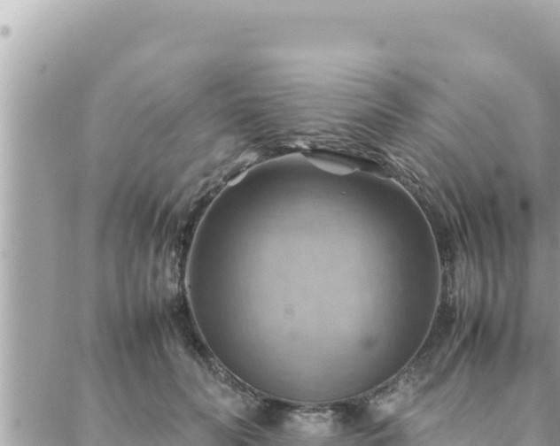 X0000088600606200706011204