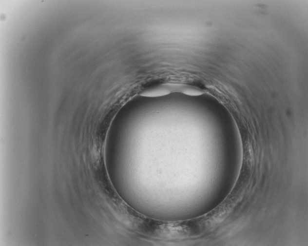 X0000088600607200706011204