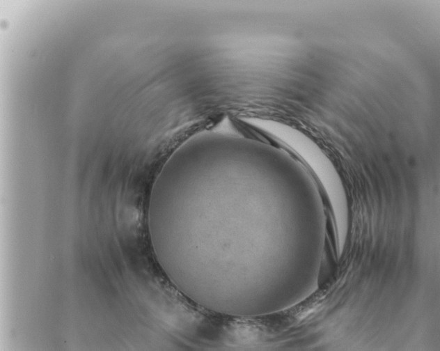 X0000088600608200706011204