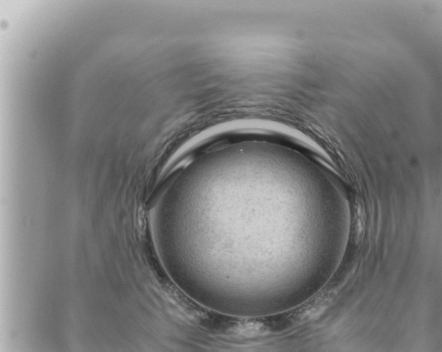 X0000088600609200706011204