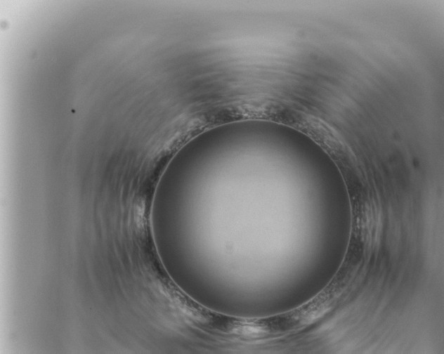 X0000088600610200706011204