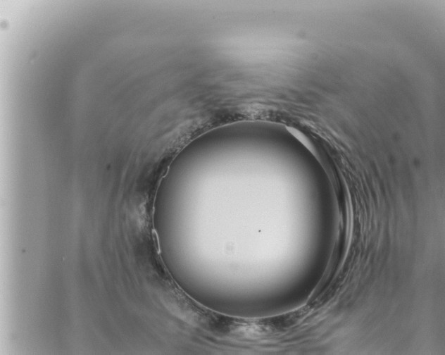 X0000088600611200706011204