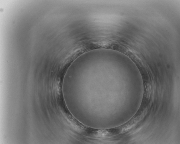 X0000088600612200706011204