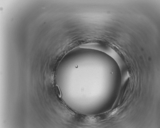 X0000088600613200706011204