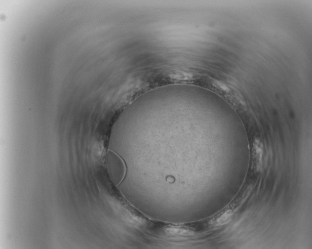 X0000088600614200706011204