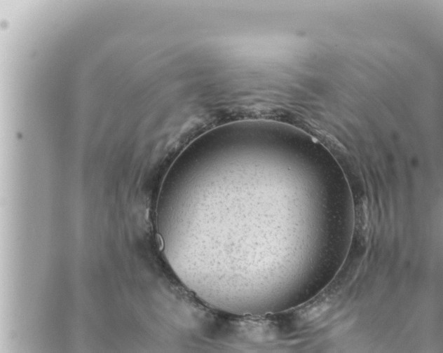 X0000088600615200706011204