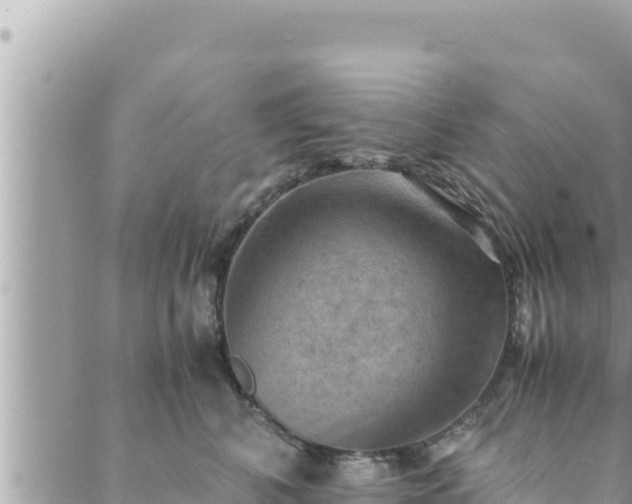 X0000088600616200706011204