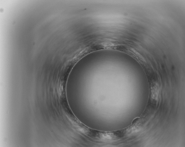 X0000088600618200706011204