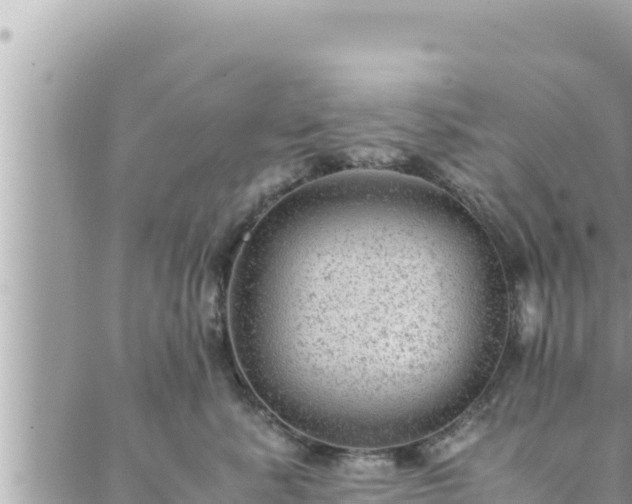 X0000088600619200706011204