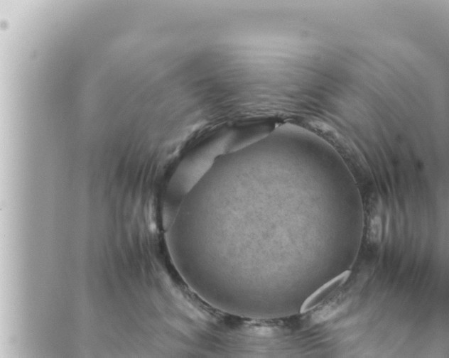 X0000088600620200706011204