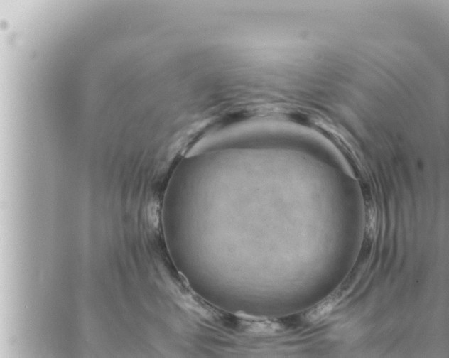 X0000088600621200706011204