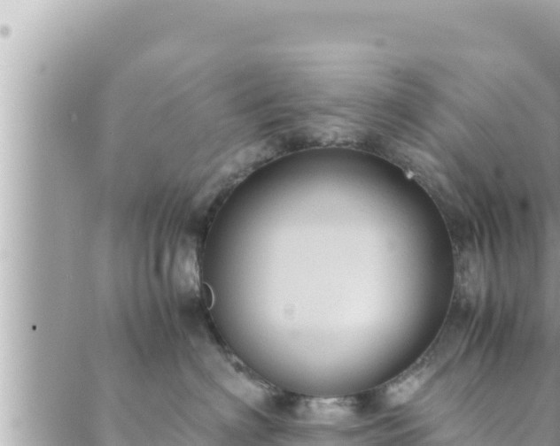 X0000088600622200706011204