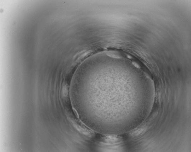 X0000088600623200706011204