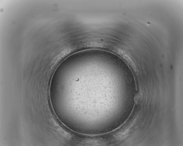 X0000088600625200706011203