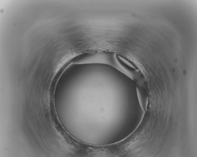 X0000088600626200706011203