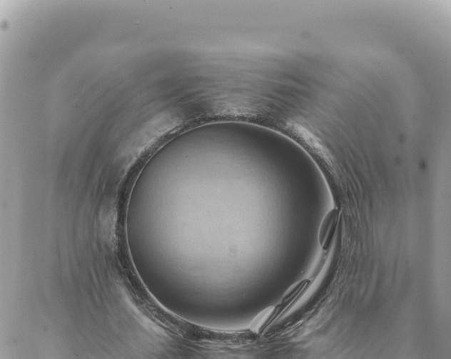 X0000088600627200706011203