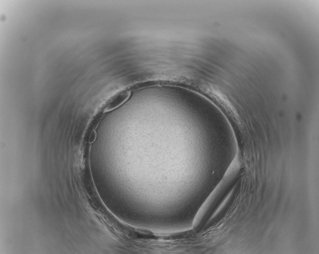 X0000088600628200706011203