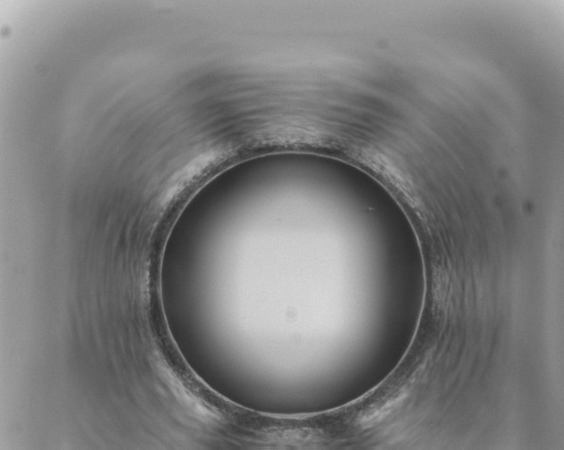 X0000088600629200706011203