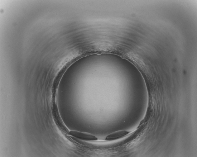 X0000088600630200706011203